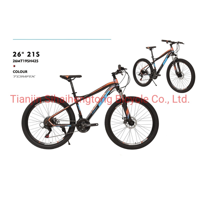 26 Inch Bike Steel MTB 21 Gears Mountain Bicycle