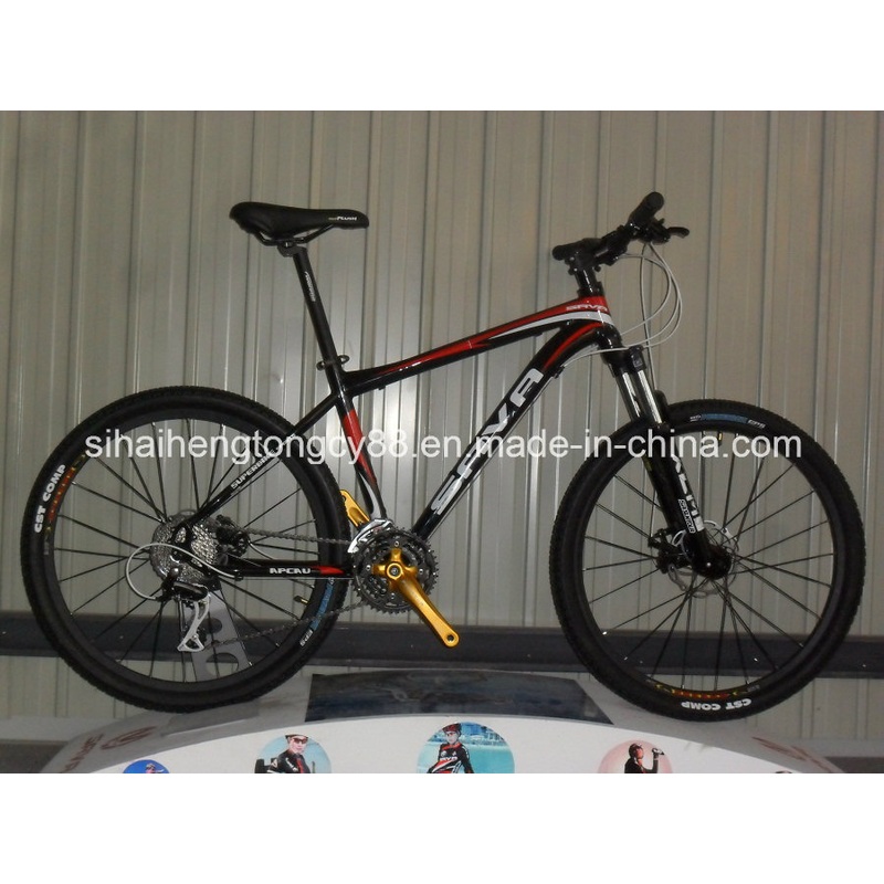 Normal Alloy Black Mountain Bike with Suspension Fork (SH-AMTB029)