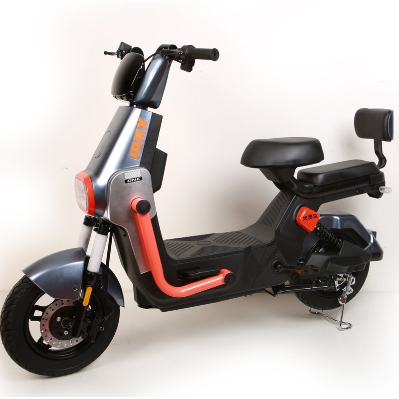 Powerful Electric Bicycle for Cargo and Passenger Transportation 800W with Disc Brake