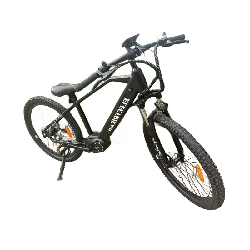 Best Price 48V for Adult Mountain Electric Bike Factory Direct Sale