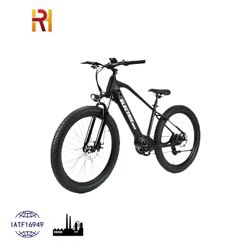 Eco-Electric Hybrid Mountain E-Bike with Assist Function