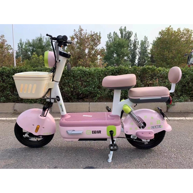 High-Quality Heavy-Duty, Lightweight and Cute Electric Bike with 48V Long-Range and Powerful Battery
