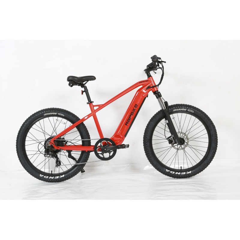 Fat Tire Rear Drive 750W Mountain Ebike in Stock