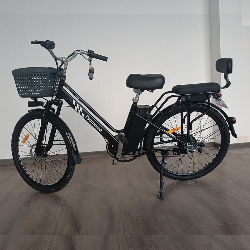 for Urban Commuting 48V 350W Motor Lithium Battery Two Big Wheels Electric Bicycle