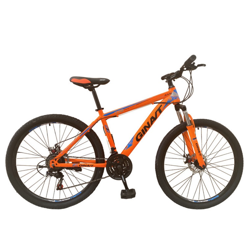 China Full Suspension Fat Tire Mountain E Bicycle Mountain Bike