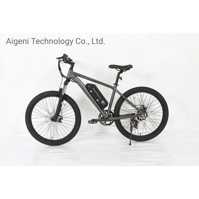 2022 Wholesale Economical Electric Mountain Bike in Stock
