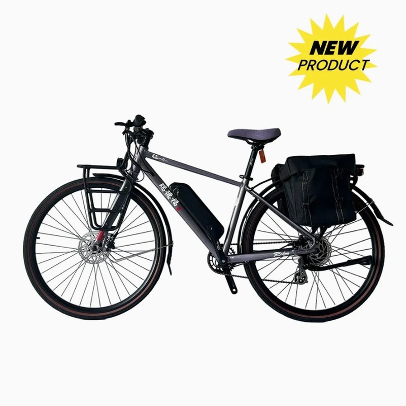 Adults Popular Electric Bicycle with Bracket 700*38c 36V 250W Motor Ebike/Bici Electrica Bicycle