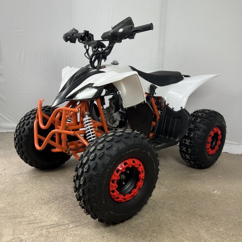 High-Performance 125cc CE Quad Bike for Thrill Seekers