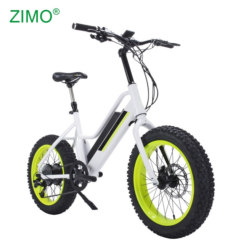 750W 48V Customized Color Fat Tire Electric Bike
