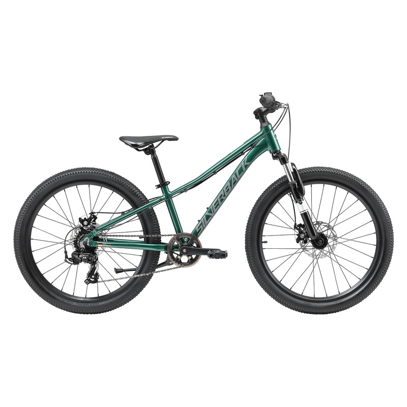 2025 SPYKE 24 DISC – GLOSS EMERALD/GLOSS CHARCOAL