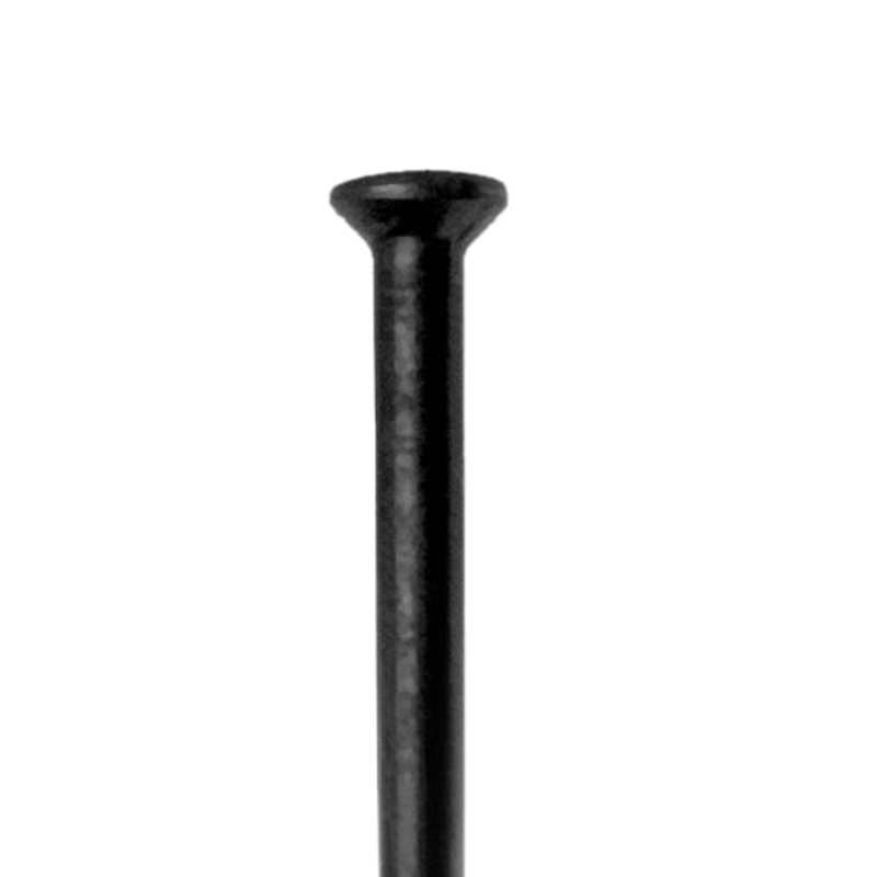 DT Swiss – Champion Straight Pull