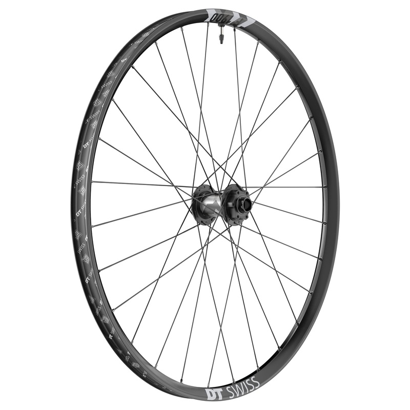 DT Swiss F 1900 Classic Front Wheel – 29 20 x 110mm DH Boost 6-Bolt Black