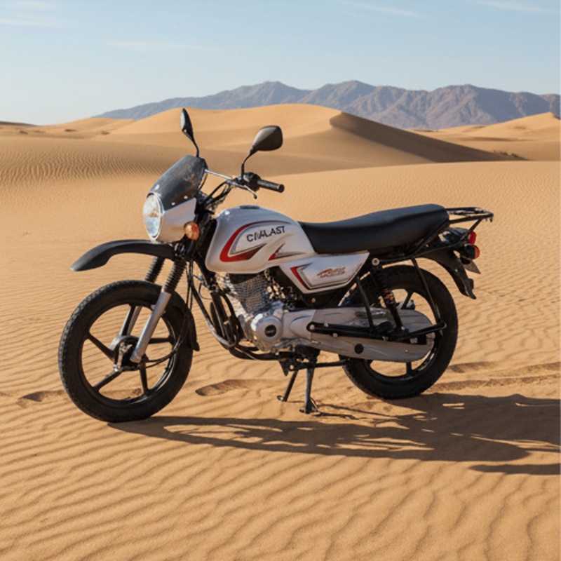 Bm150 150cc Motorcycle Dirtbike African Popular Motorbikes Scooter Delivery Bike 125cc (HD150Y-2)