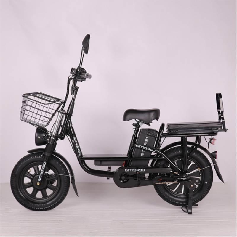 Yilan Princess 14 E-Bike / Export Electric Delivery Bicycle to Russia, North Korea