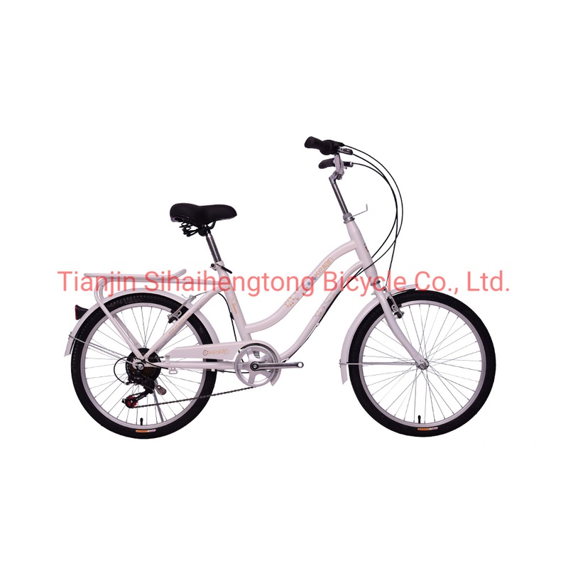 Factory OEM 24 Inch City Bike 6 Speed