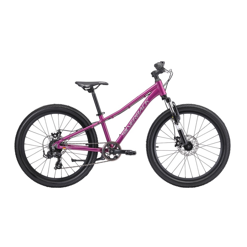 2025 SPYKE 24 DISC – MULBERRY PURPLE
