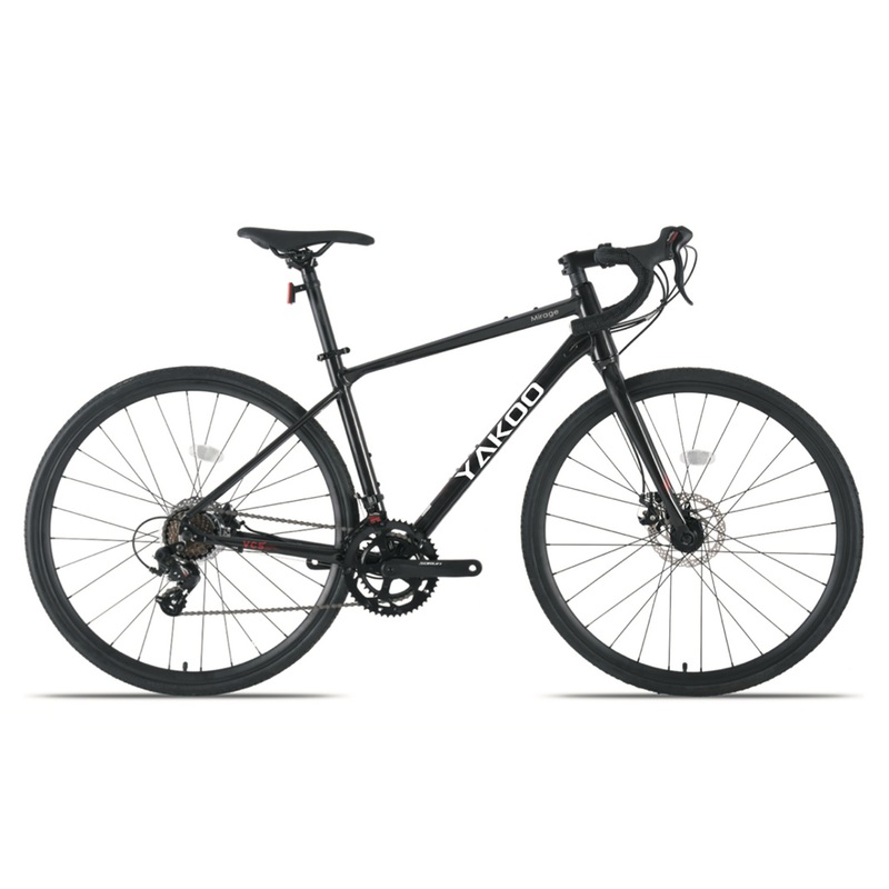 Cheap and High Quality Road Bike with Steel/Alloy Frame