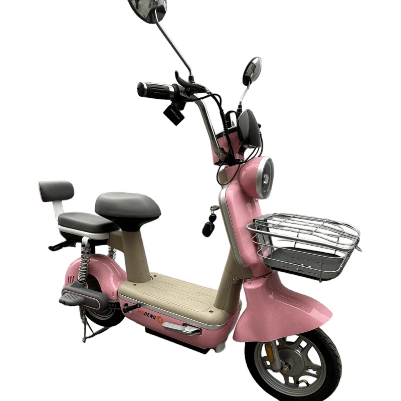 High-Performance 500W Electric Bicycle for Adults – Ride in Style