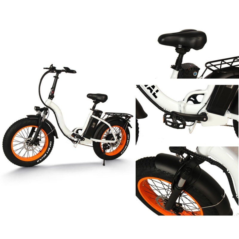 Portable Folding E-Bike 48V 350W Power with Throttle and Pedal Assist System PAS