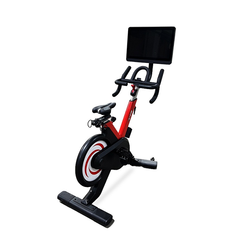 New Style Wnq 21.5 Inch Spinning Exercise Bike