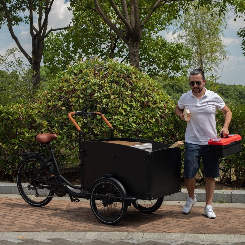 Three Wheel Cargo E Bike with 7 Speed Gears and Ergonomic Design