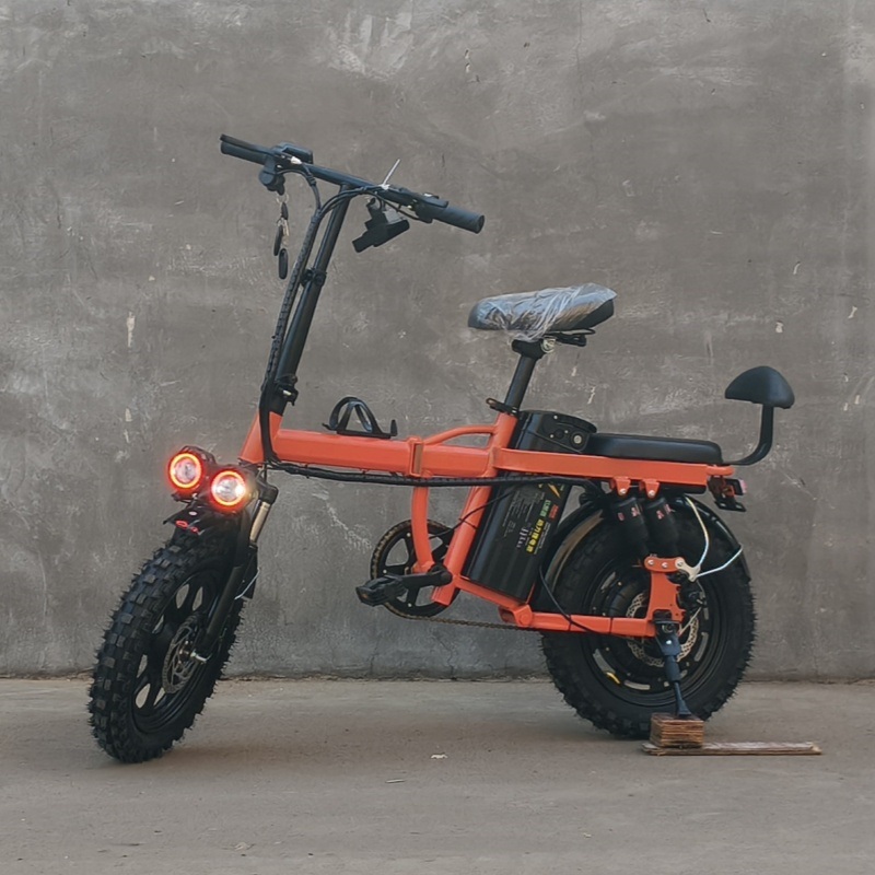 Factory Direct Price New Foldable Mini 2-Wheel 48V 500W Compact & Portable Electric Bike