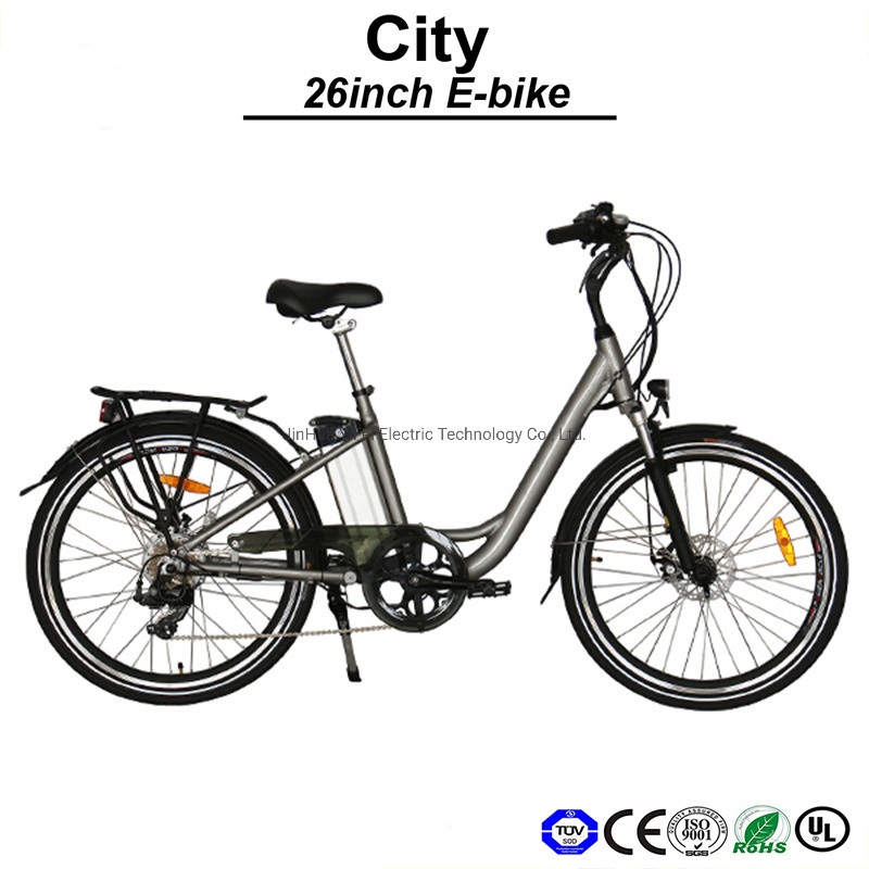 Pedelec 36V Lithium Battery LED Display Electric Bicycle Bicicletta Elettrica (TDF02Z)