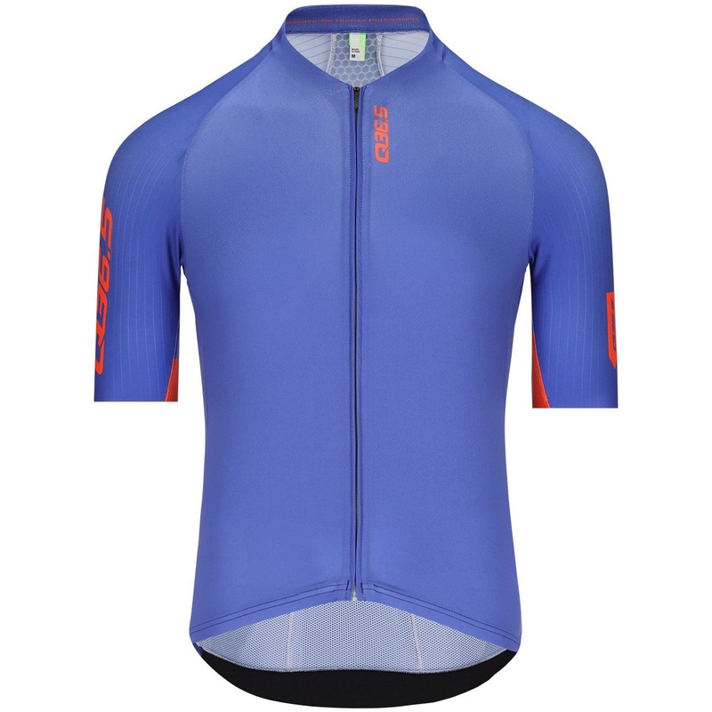 Maglia Q36.5 Gregarius Pro Signature – Viola