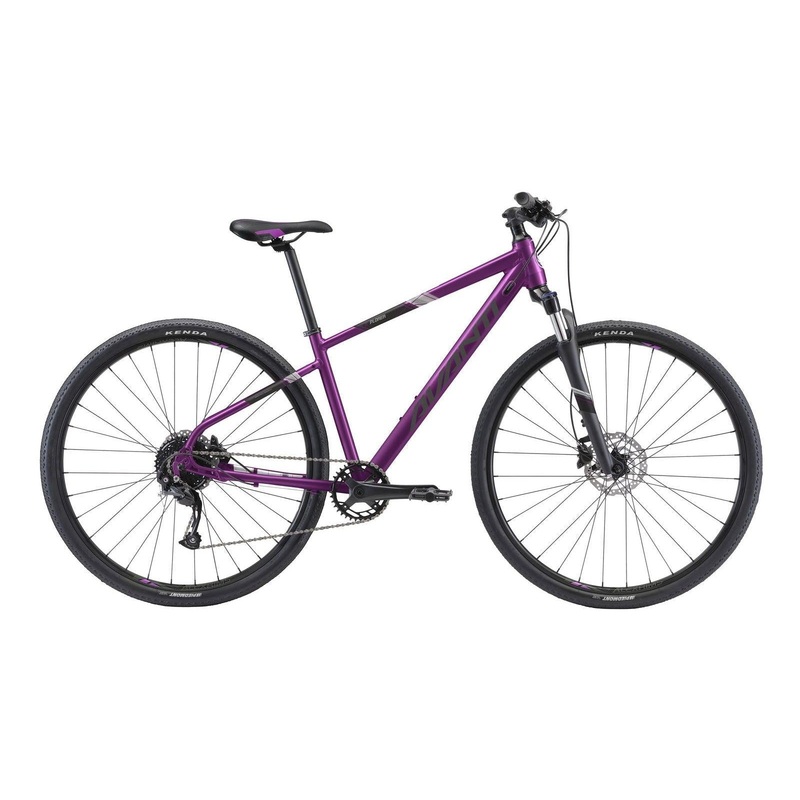 2025 AVANTI X-PLORER MS 2 W|XS|SM|MD|PURPLE