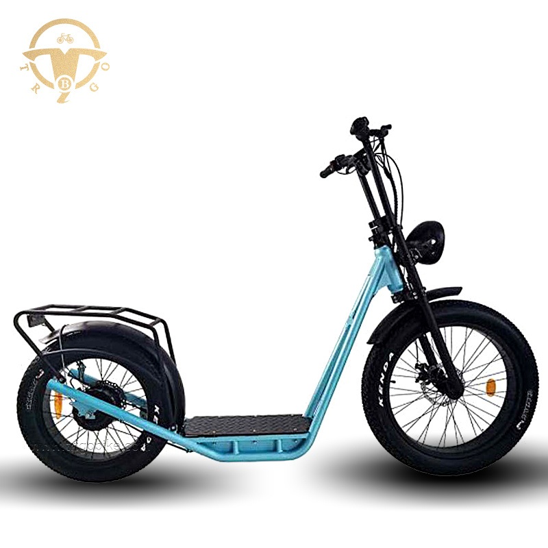 Lithium Battery Powered Stand-up Electric Bicycle with Fat Tires Bafang Motor