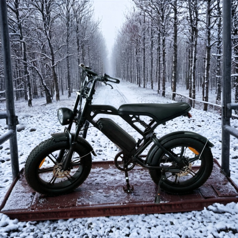 Xtremetrail 48V Offroad Dirt Ebike with 13.4ah Battery