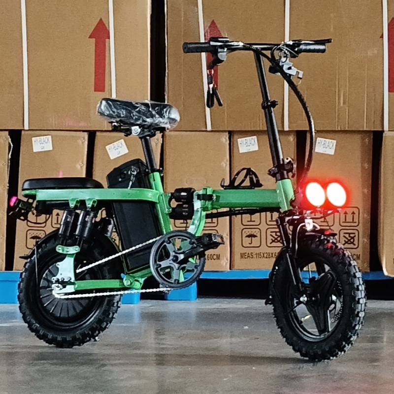 Folding Electric Bike with 500W Motor Electric Scooter