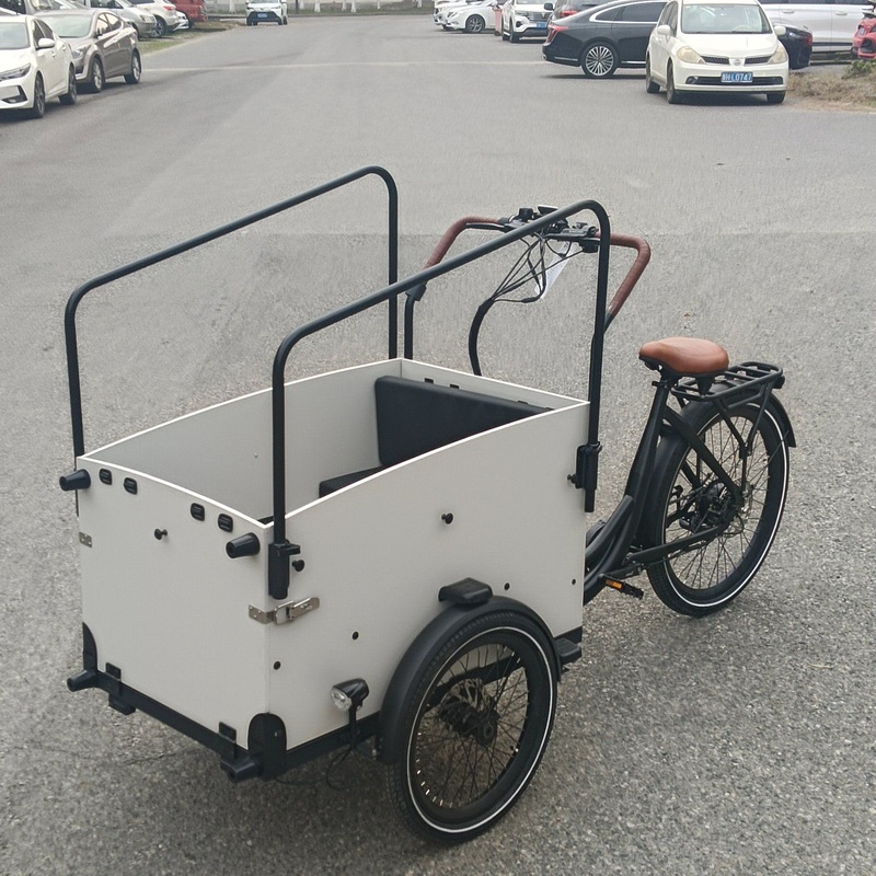 Powerful Electric Cargo Bike Bakfiet Offering Long Range for Daily Commutin Starter