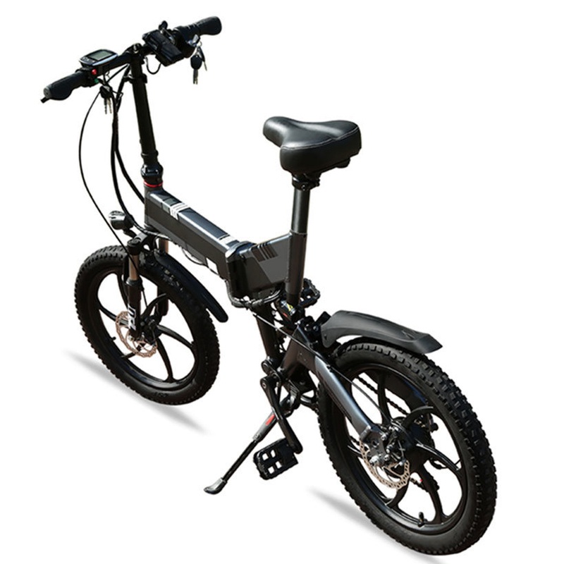 All Ages 20 Touring Bikes 250W Electric Bicycle E Bike OEM