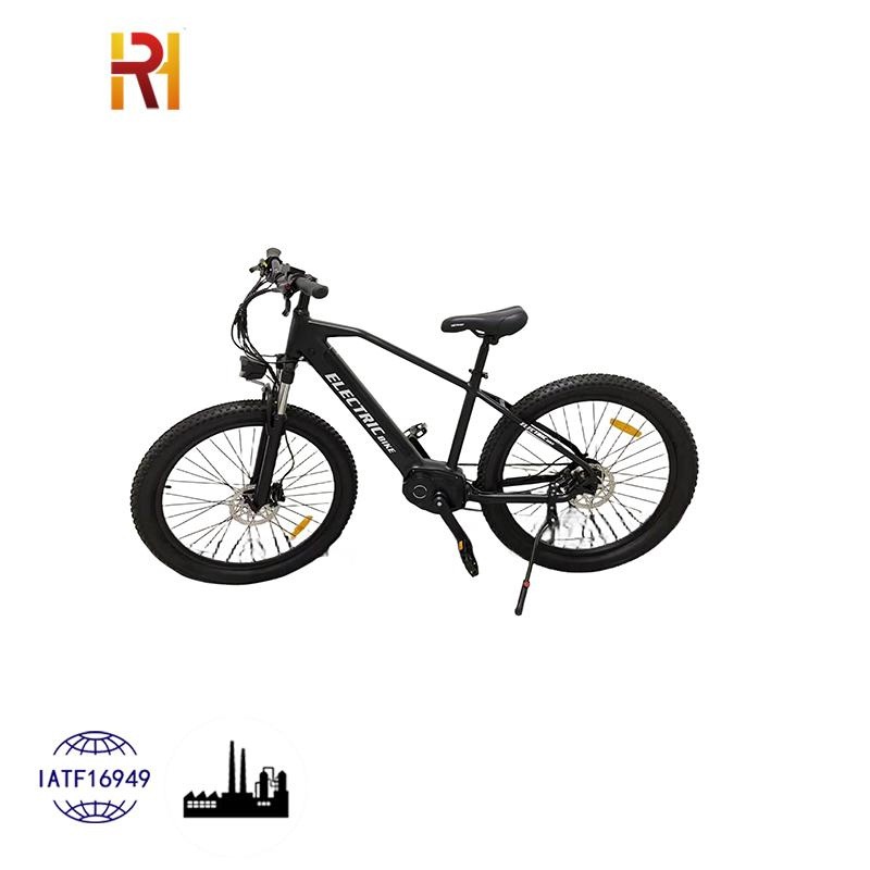 Best Quality MTB E-Bike 20inch 48V 500W Aluminum Alloy Frame Fat Tire