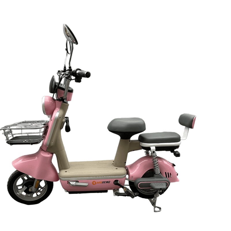 Powerful 48V Lead Acid Electric Bicycle for Urban Commuting