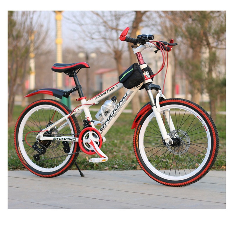 Excellent Quality Fat Tire Electric Beach with Front and Rear Suspension Shock Absorber 20 Tires Mountain Hot Selling