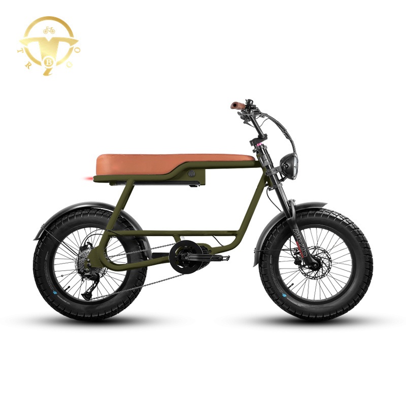 Bafang MID Motor 250W-1000W Battery Hidden in Seat Electric Bike Motorbike