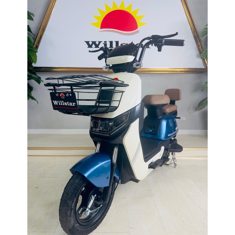 Willstar Electric Bicycle Ty188 High-Quality Products with a Solid Warranty