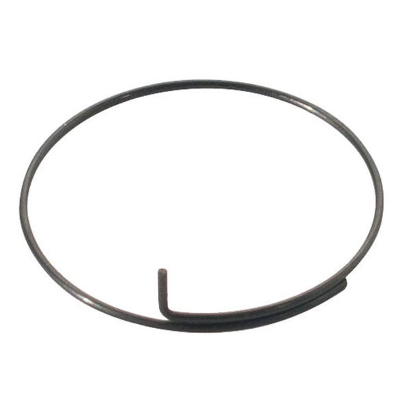 DT Swiss – Spring for Pawl Carrier