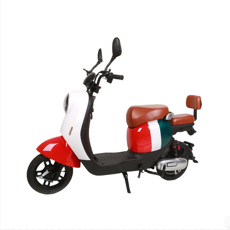 Factory Direct Selling Warranty Red Famous Brand Vehicle Electric Bike
