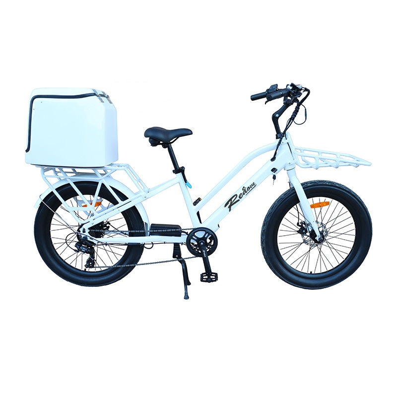 New Product Ebike Men with White Backet Alloy Frame 24inch 36V 250W Motor Battery Electric Mountain Bike Sale