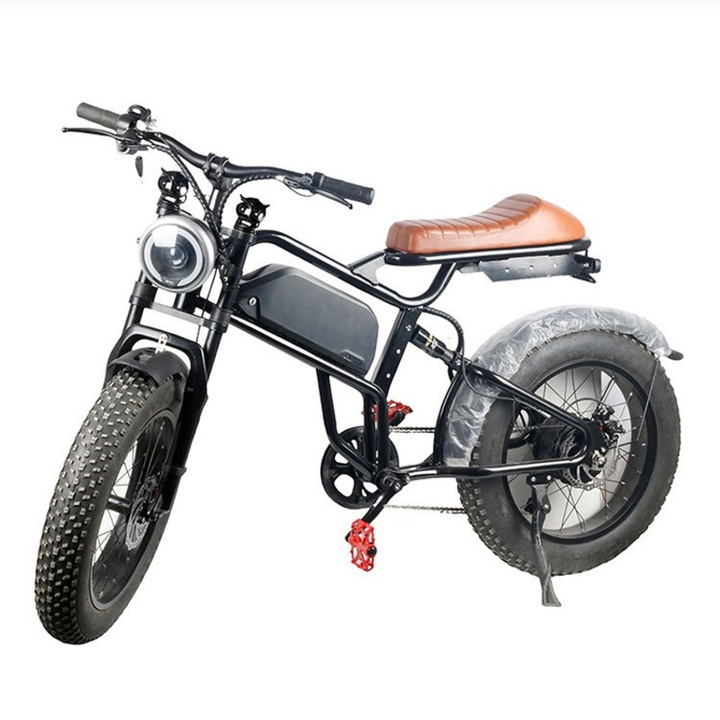 Cool Electric Bicycles Convenient for Travel Electric Bike