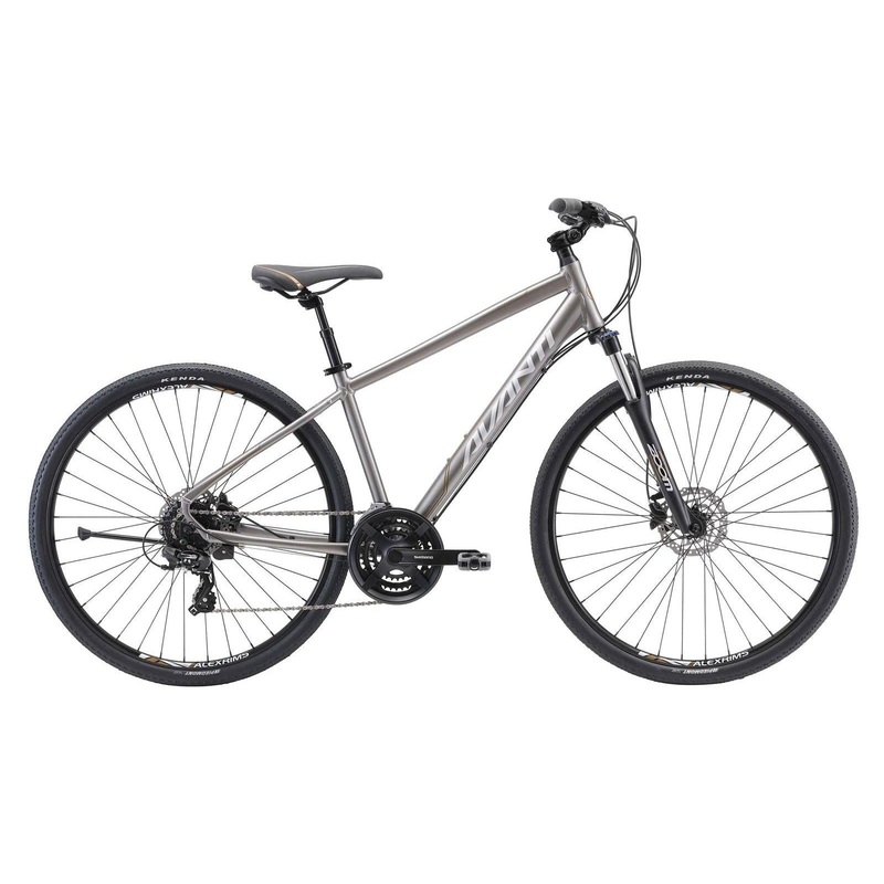 2025 AVANTI DISCOVERY 2|SM|MD|LG|XL|TITANIUM