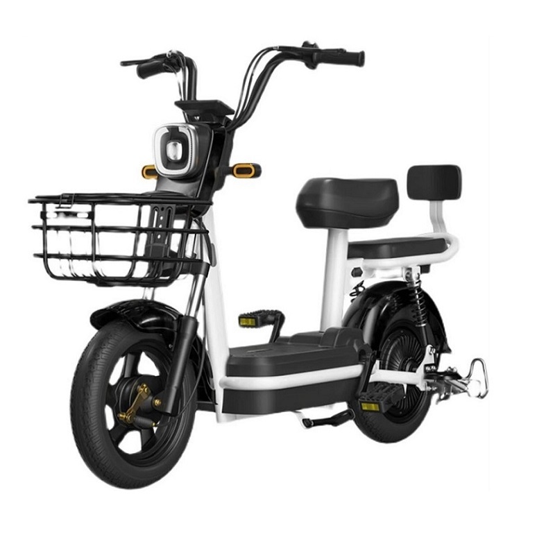 Factory Wholesale Bicicleta Electrica 48V 350W Two Wheels Electric Bicycle