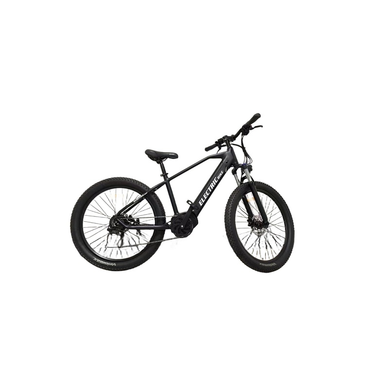 New Design Dual-Disc MTB Electric Bike E-Bike M7