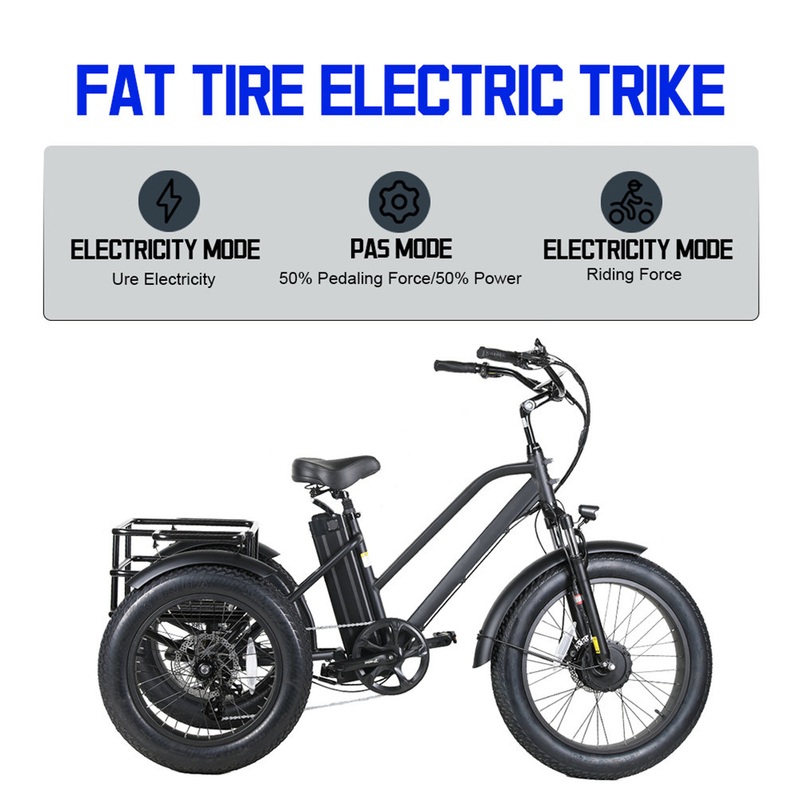 Three Wheel Fat Tire Electric Tricycle Cargo for Beach Cruiser