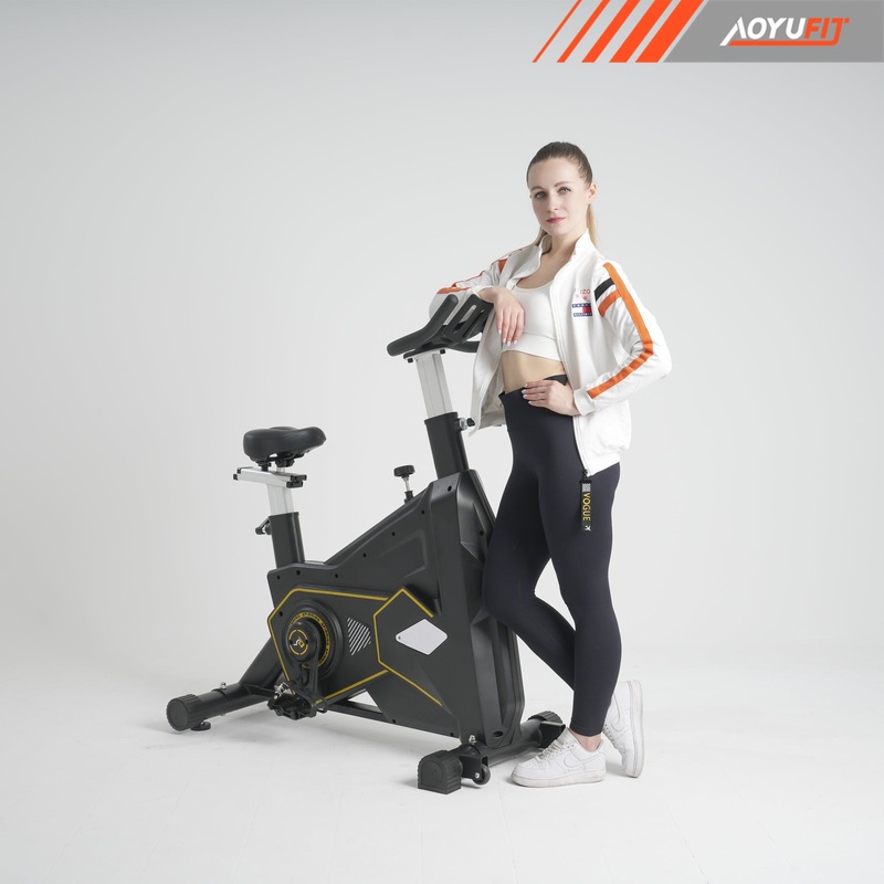 New Body Building Fitness Magnetic Exercise Spinning Gym Home Spin Bike