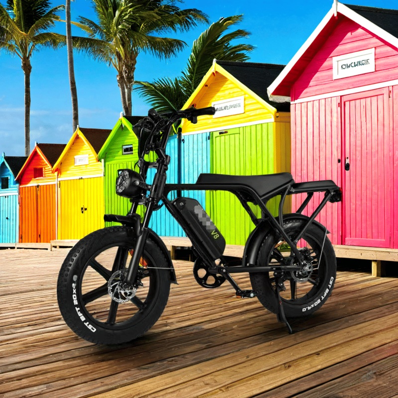 Powerful V8 Fat Bike Ebike with 7 Speed Gears and Hydraulic Brakes