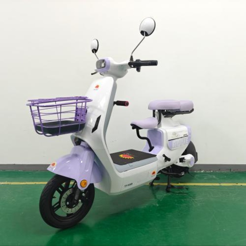 Willstar Electric Bicycle / Electric Moped Ty858 Latest and Hot Model for Sale